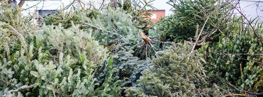 Saisonende Weihnachten